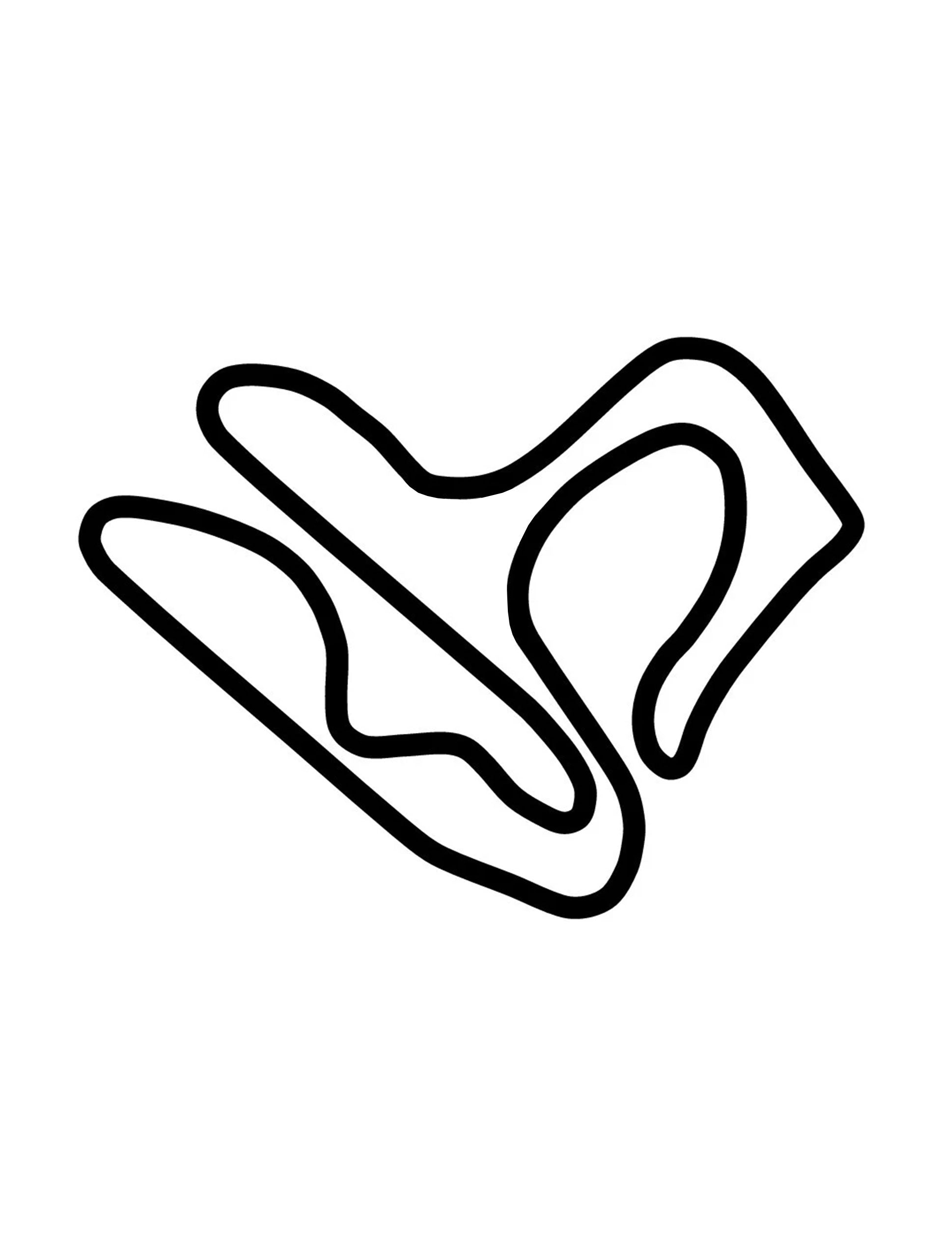 Manfeild Circuit Chris Amon - Full International Circuit New Zealand - Vinyl Sticker