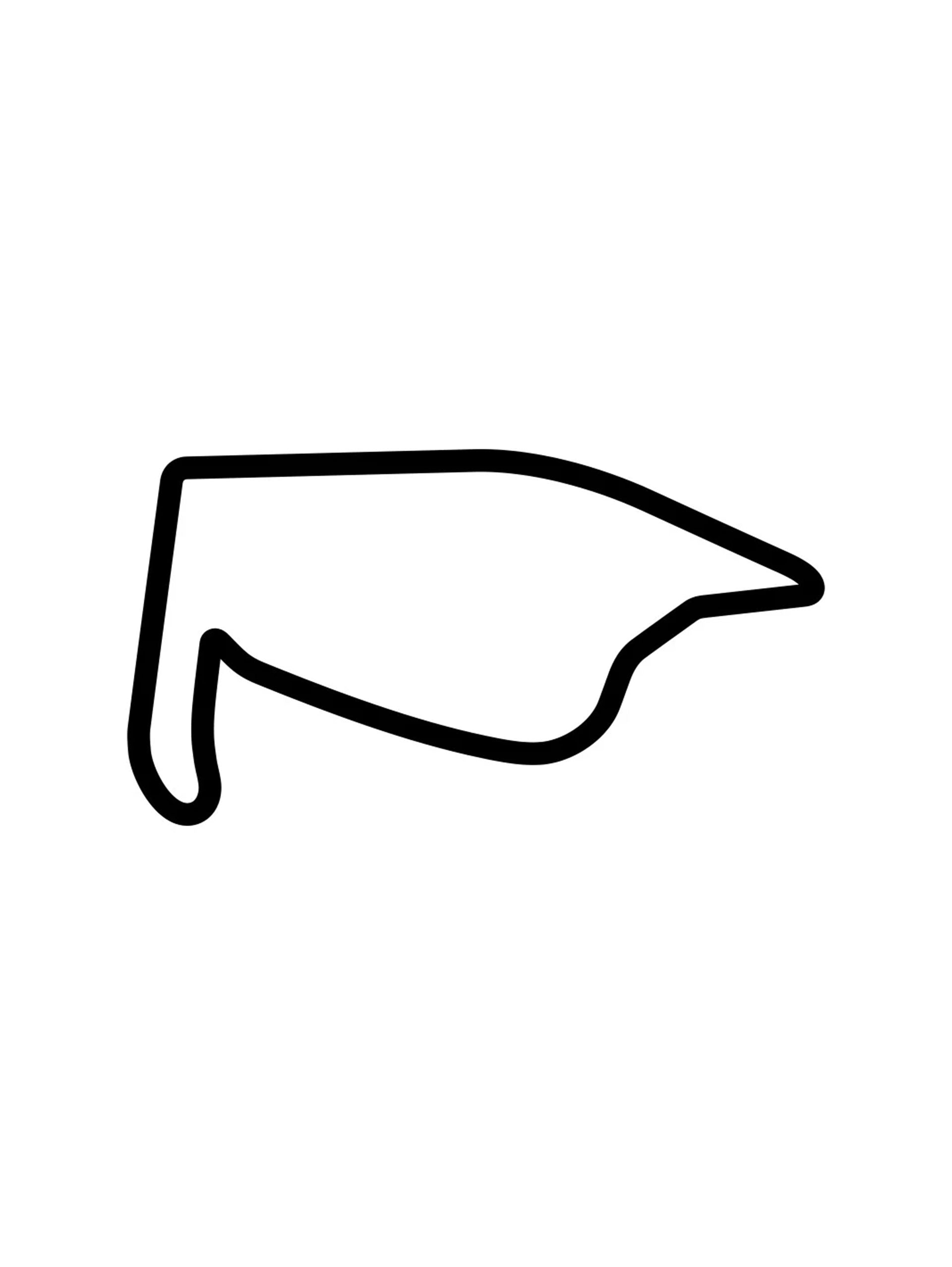 Pukekohe Park - Long Circuit New Zealand - Vinyl Sticker